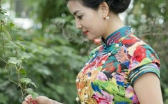 免费女人18a级毛片视频